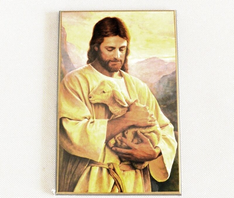 Katecheze Dobrého pastýře